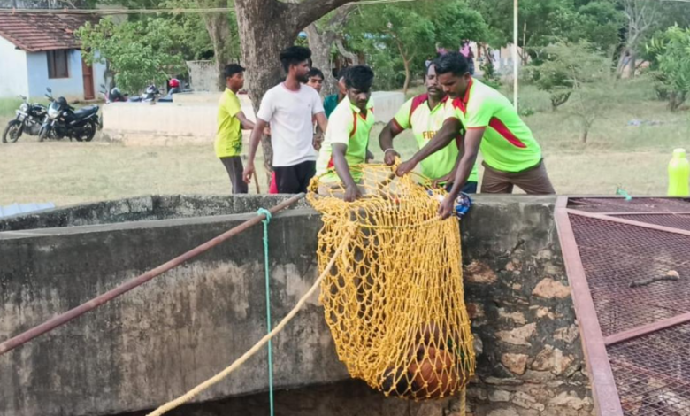 tenkasi student death
